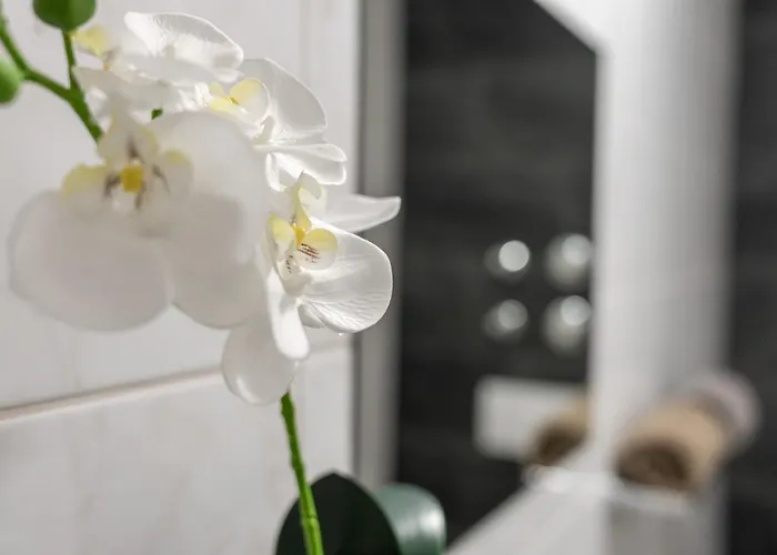 Altstadtliebe - Stadtmitte Am Bachhaus * Eisenach